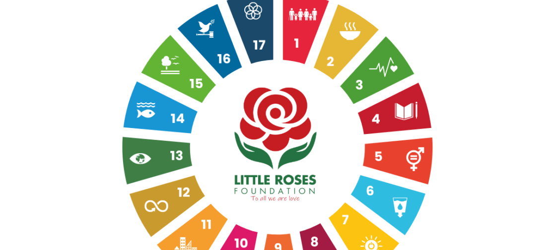 WHAT ARE THE SUSTAINABLE DEVELOPMENT GOALS?