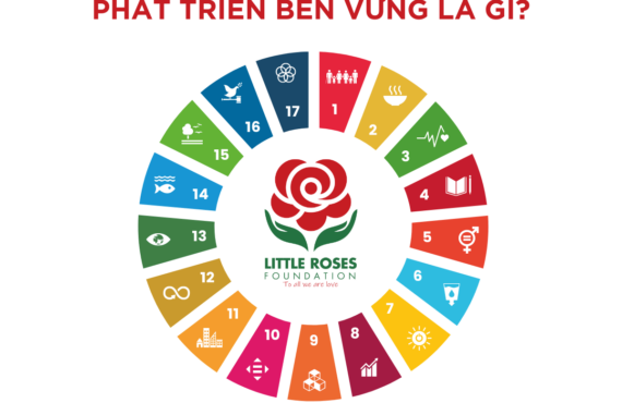 WHAT ARE THE SUSTAINABLE DEVELOPMENT GOALS?